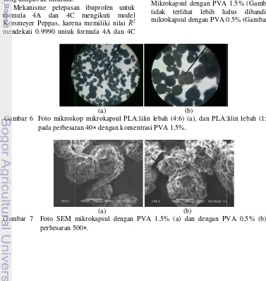 Gambar 6  Foto mikroskskop mikrokapsul PLA:lilin lebah (4:6) (a), dan PLA:l