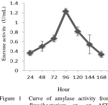 Figure 1  Curve of amylase activity from Brevibacterium sp. on ASW 