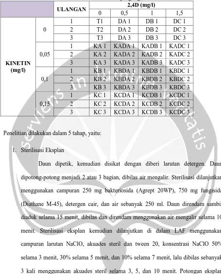 Tabel 1. Variasi Konsentrasi dan Kombinasi ZPT yang digunakan.  2,4D (mg/l) 