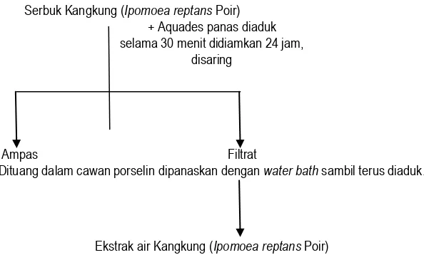 Gambar 1: Skema pembuatan ekstrak air kangkung (Ipomoea reptans Poir) 