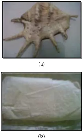 Gambar 9  (a) cangkang kerang ranga dan (b) serbuk cangkang kerang ranga basah.  