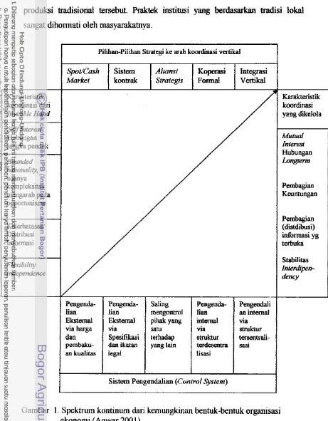 Gambar 1. Spektrum kontinum dan kemunglanan bentuk-bentuk organisasi 