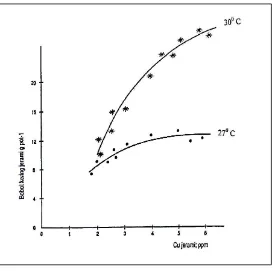 Gambar IV.1 Hubungan antara bobot kering jerami dan Cu jerami tanaman gandum yang ditanam pada dua suhu percobaan selama 6 minggu