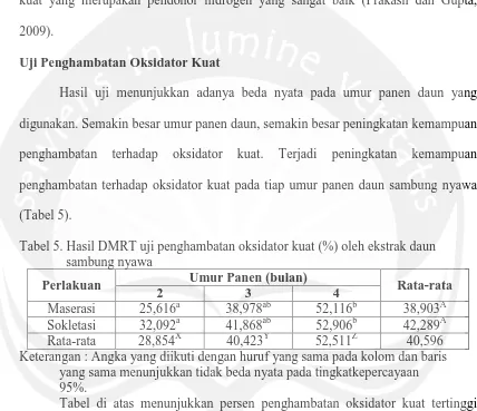 Tabel 5. Hasil DMRT uji penghambatan oksidator kuat (%) oleh ekstrak daun     sambung nyawa 