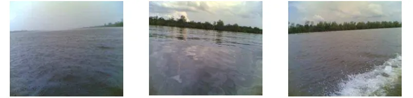Gambar 8. Sungai-sungai yang Menjadi Sumber Air Tawar Bagi Kegiatan Budidaya Tambak di Kecamatan Tanah Merah 