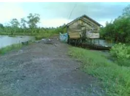Gambar 10.  Salah Satu Contoh Rumah Jaga di Tambak Udang Windu di Kecamatan Tanah Merah  
