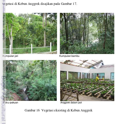 Gambar 16  Vegetasi eksisting di Kebun Anggrek 