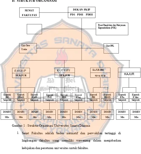Gambar 1 : Struktur Organisasi Universitas Sanata Dharma 