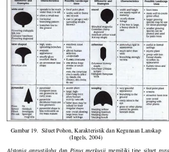 Gambar 19.  Siluet Pohon, Karakteristik dan Kegunaan Lanskap 
