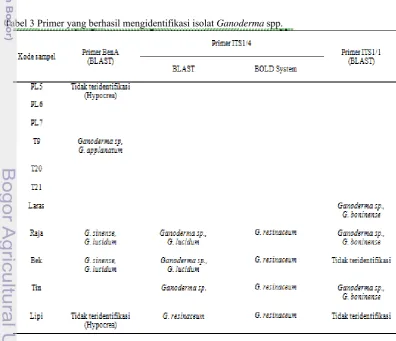 Tabel 3 Primer yang berhasil mengidentifikasi isolat Ganoderma spp. 