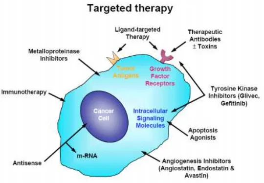 Gambar 2.3. Berbagai pendekatan targeted therapy20 