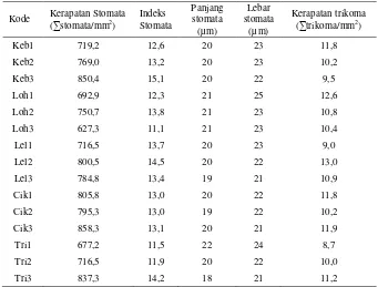 Tabel 2 Nilai rata-rata karakter sayatan paradermal pada daun mangga cengkir dari kebun perwakilan lima Kecamatan