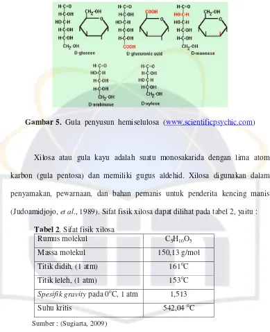 Gambar 5.  Gula  penyusun  hemiselulosa  (www.scientificpsychic.com) 