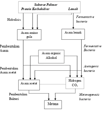 Gambar 3  Proses pembentukan gas metana (Hambali et al. 2007). 