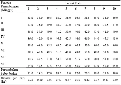 Tabel 6  Rataan pertambahan bobot badan ternak babi berdasarkan ransum 