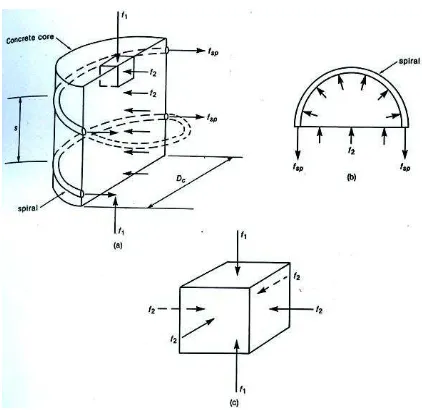 Gambar 1.  Penampang kolom sengkang rectanguler dan spiral 