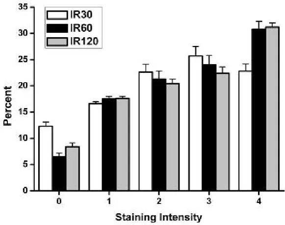 Figure 4: The degree of differentiation is sensitive to the length of the ischaemicinsult.