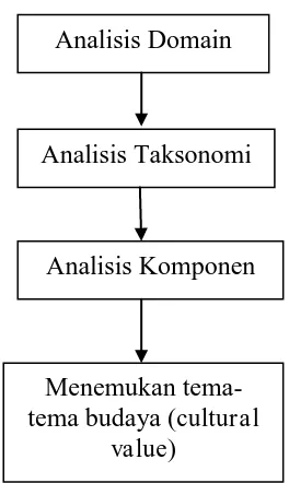 Gambar 6 : Model Analisis Etnografi 