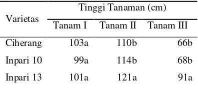 Tabel 3 Perbandingan tinggi tanaman padi antar varietas 