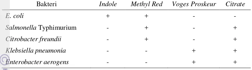 Tabel 1  Hasil uji IMViC famili Enterobacteriaceae (Adams dan Moss 2008) 