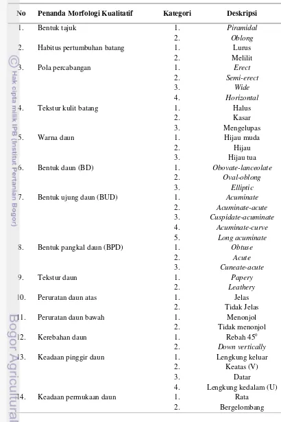 Tabel 2. Karakter pengamatan morfologi vegetatif sifat kualitatif pada 21 genotipe 