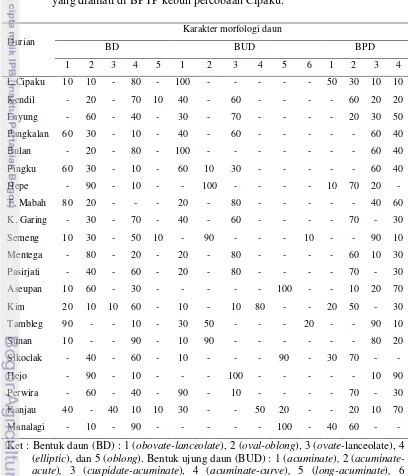 Tabel 8. Proporsi karakter daun yang muncul pada 21 genotipe tanaman durian 