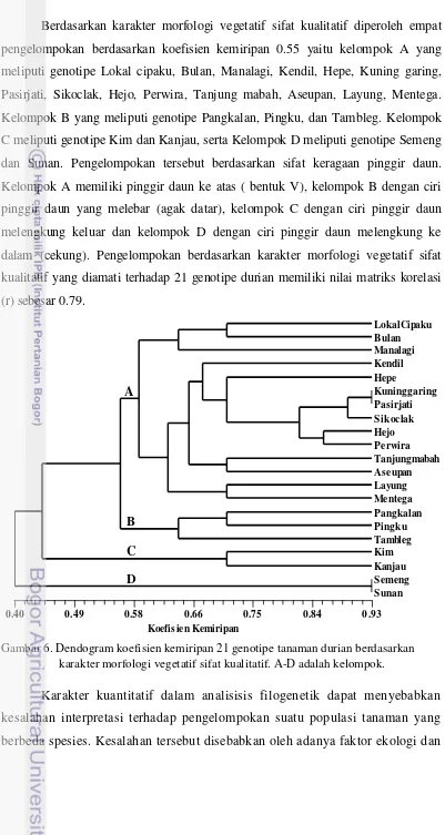 Gambar 6. Dendogram koefisien kemiripan 21 genotipe tanaman durian berdasarkan   