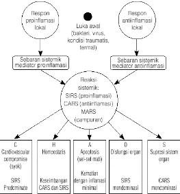 Gambar 2.3 Konsep patogenesis sepsis (dikutip dari Bone dkk., 1997) 