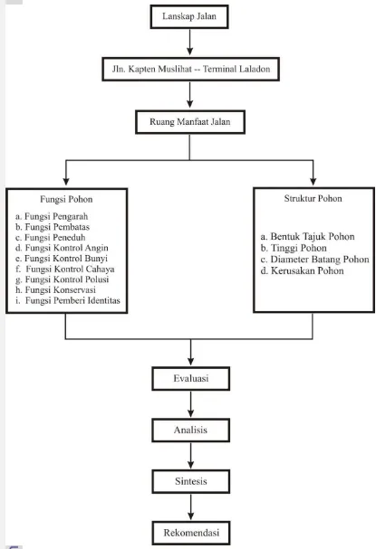 Gambar 1. Kerangka Pemikiran Evaluasi Fungsi dan Struktur Pohon 