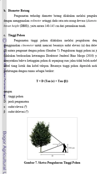 Gambar 7. Sketsa Pengukuran Tinggi Pohon 