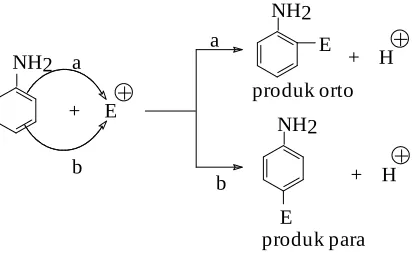Gambar 7. Proses delokalisasi electron π
