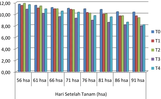 Gambar 6. Histogram pengaruh pemberian  Trichoderma harzianum terhadap intensitas   serangan (%)Phytophthora Infestans untuk setiap waktu pengamatan (mst)