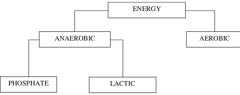 Gambar 2. Hubungan Sistem Energi (Pyke, 1991:15) 