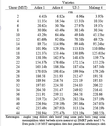 Tabel 4. Pengaruh varietas terhadap tinggi tanaman ubi kayu  