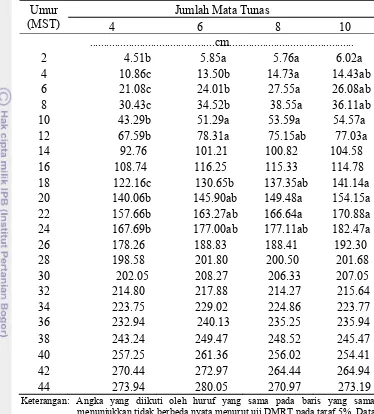Tabel 5. Pengaruh jumlah mata tunas terhadap tinggi tanaman ubi kayu  