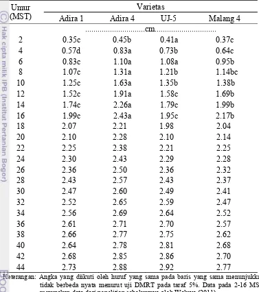 Tabel 6. Pengaruh varietas terhadap diameter batang tanaman ubi kayu  