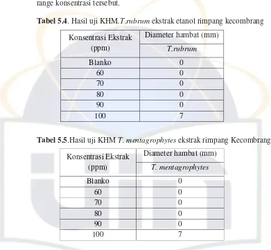 Tabel 5.4. Hasil uji KHM.T.rubrum ekstrak etanol rimpang kecombrang 