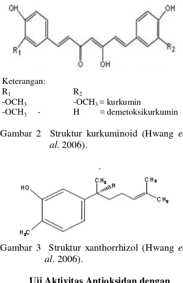 Gambar 2  Struktur kurkuminoid (Hwang et 