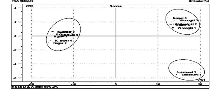 Gambar 13 Skor plot dua PC pertama kromatogram yang telah direduksi. 