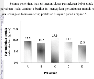 Gambar 1 Pertumbuhan mutlak rata-rata ikan patin yang diberi pakan perlakuan TKU dengan dosis 0% (A), 15% (B), 30% (C), 45% (D), dan 60% (E)