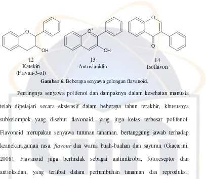 Gambar 6. Beberapa senyawa golongan flavanoid. 