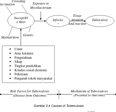 Gambar 2.4 Causes of Tuberculosis 
