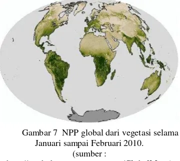 Gambar 7  NPP global dari vegetasi selama 