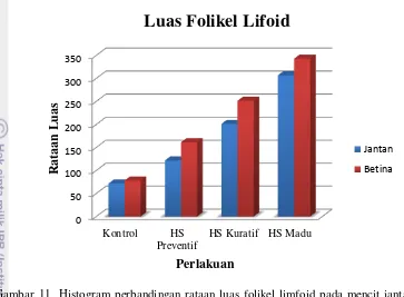 Gambar 11  Histogram perbandingan rataan luas folikel limfoid pada mencit jantan dan 