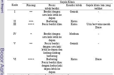 Tabel 2  Pemeriksaan klinis terhadap kuda yang didiagnosis menderita laminitis 