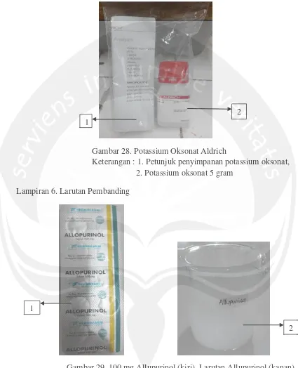 Gambar 29. 100 mg Allupurinol (kiri), Larutan Allupurinol (kanan) Keterangan : 1 tablet obat generik allupurinol penurun asam urat,   Allupurinol yang sudah dilarutkan dengan air berwarna putih   keruh