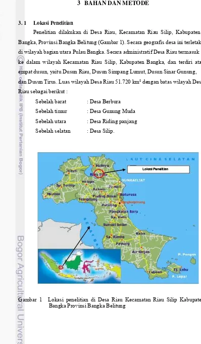 Gambar   1 Lokasi  penelitian  di  Desa  Riau  Kecamatan  Riau  Silip  Kabupaten BangkaProvinsiBangkaBelitung