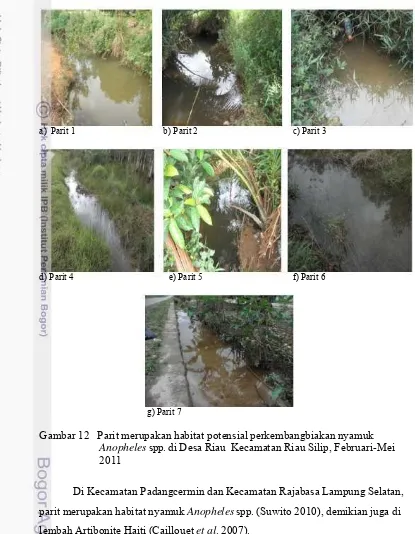 Gambar  12   Parit merupakan habitat potensial perkembangbiakan nyamuk spp.diDesaRiauKecamatanRiauSilip,Februari-Mei