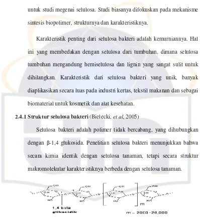 Gambar 3. Struktur kimia selulosa 