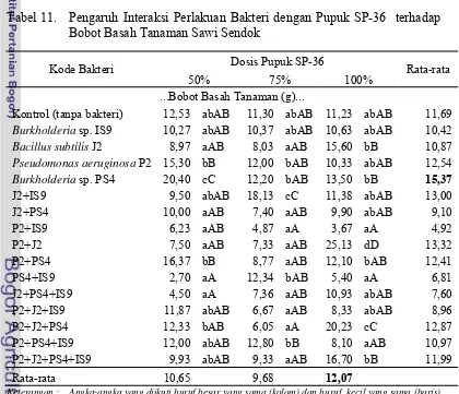 Tabel 11. Pengaruh Interaksi Perlakuan Bakteri dengan Pupuk SP-36  terhadap 